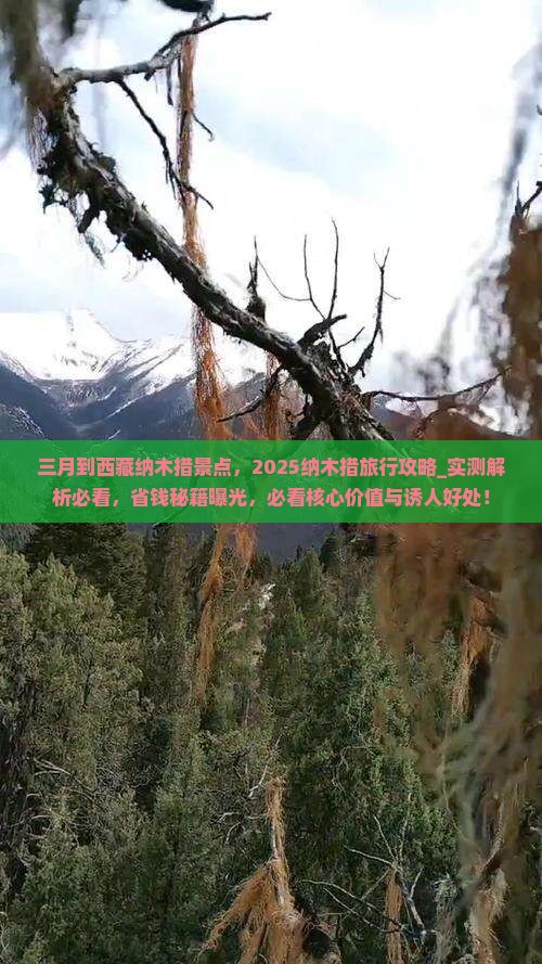 三月到西藏纳木措景点