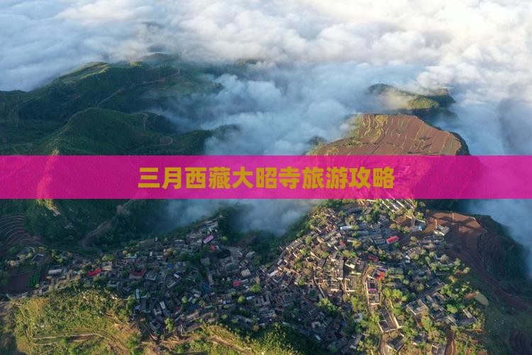 三月到西藏大昭寺一日
