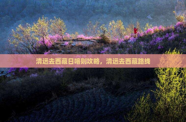 清远去西藏日喀则攻略