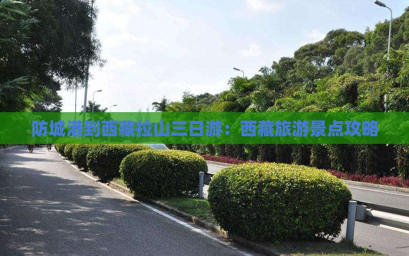 防城港到西藏色季拉山三日游