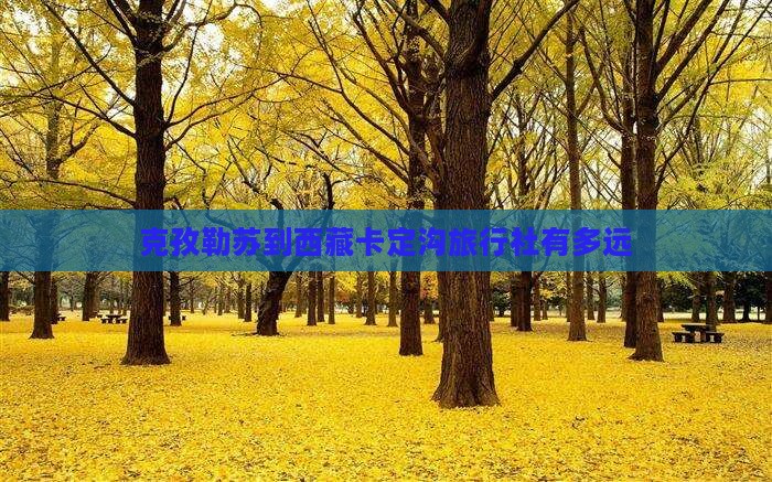 克孜勒苏到西藏卡定沟旅行社