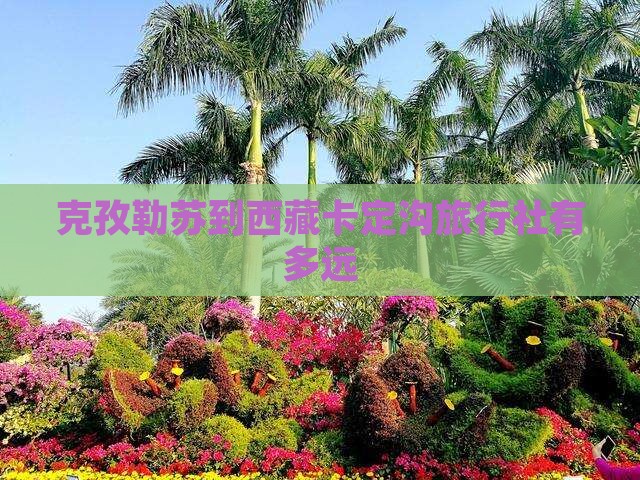 克孜勒苏到西藏卡定沟旅行社