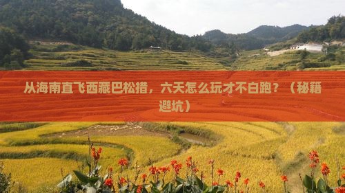 海南省直辖到西藏巴松措六日游