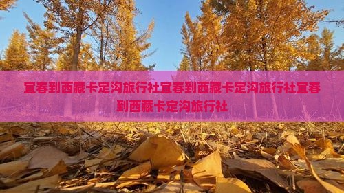 宜春到西藏卡定沟旅行社