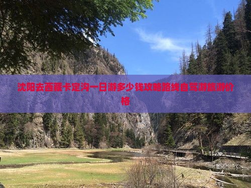 沈阳去西藏卡定沟一日