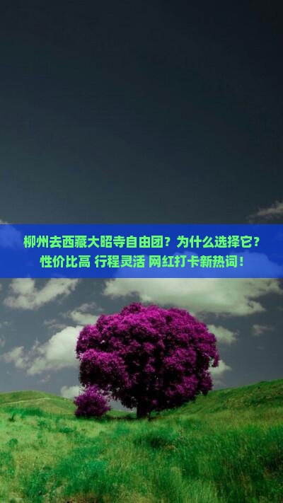 柳州去西藏大昭寺自由团 柳州去西藏大昭寺自由团