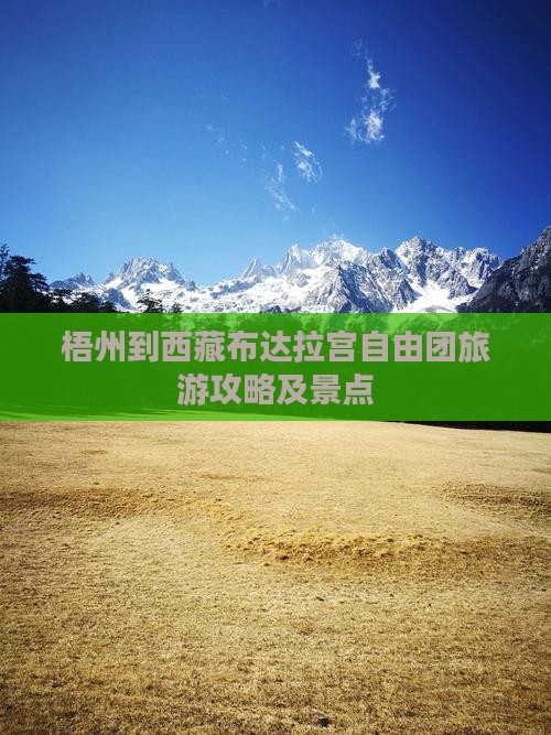 梧州到西藏布达拉宫自由团