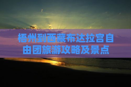 梧州到西藏布达拉宫自由团