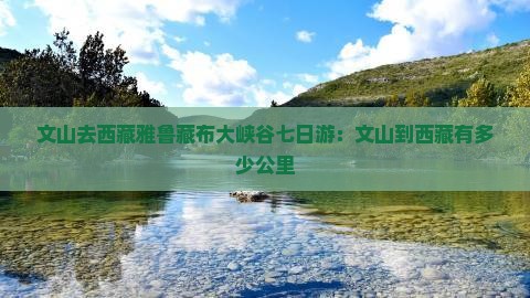 文山去西藏雅鲁藏布大峡谷七日游