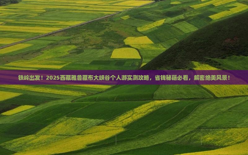 铁岭去西藏雅鲁藏布大峡谷个人游