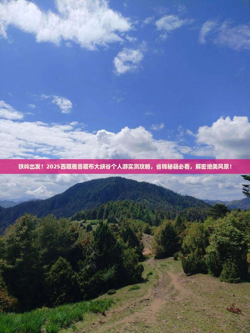 铁岭去西藏雅鲁藏布大峡谷个人游