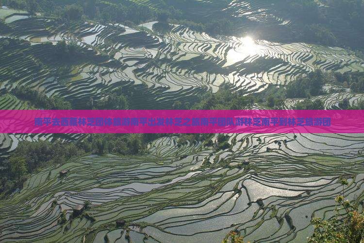 南平去西藏林芝团体旅游