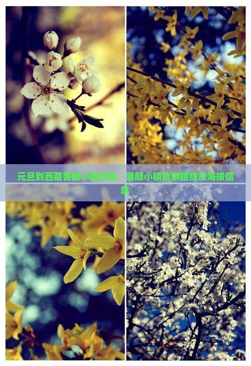 元旦到西藏鲁朗小镇攻略