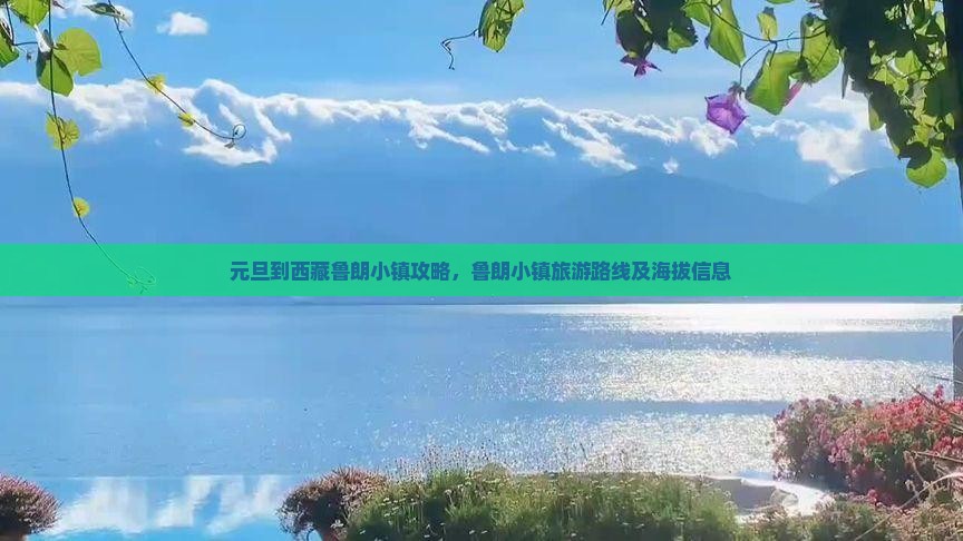 元旦到西藏鲁朗小镇攻略