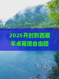开封到西藏羊卓雍措自由团