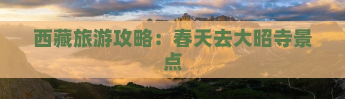 春天去西藏大昭寺景点