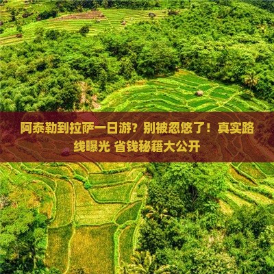 阿泰勒到西藏拉萨一日