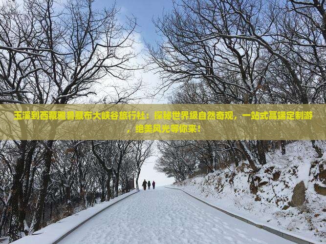 玉溪到西藏雅鲁藏布大峡谷旅行社