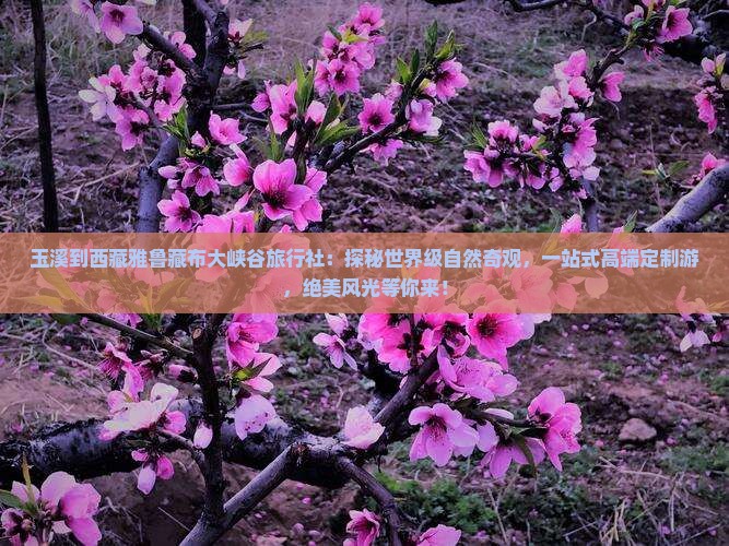 玉溪到西藏雅鲁藏布大峡谷旅行社