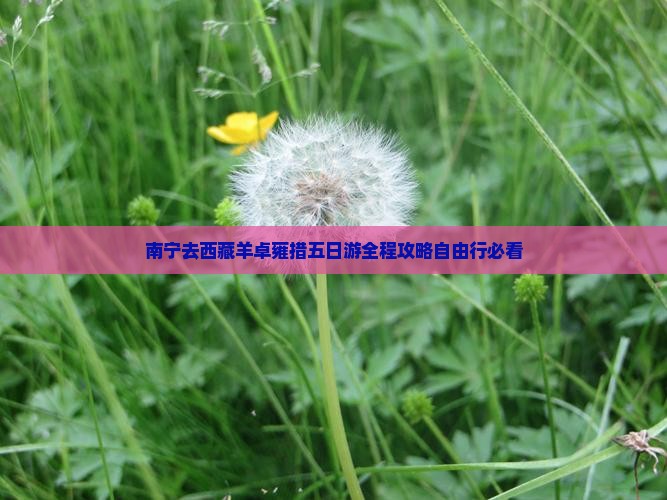 南宁去西藏羊卓雍措五日游