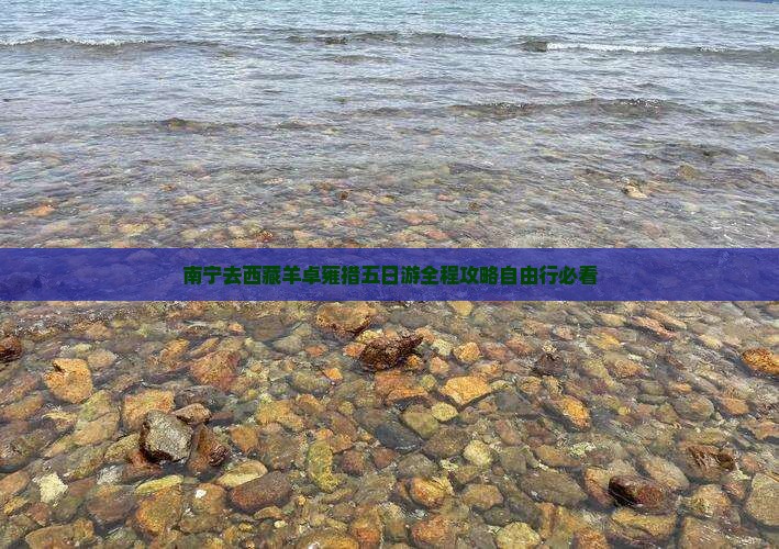 南宁去西藏羊卓雍措五日游