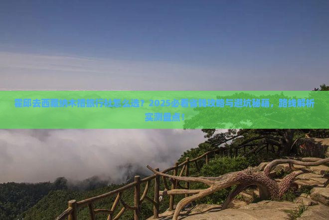 霍邱去西藏纳木措旅行社