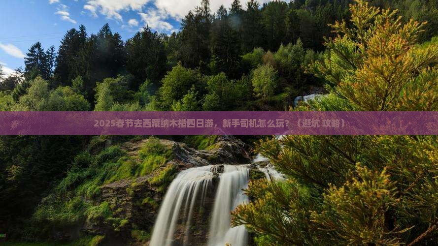 春节去西藏纳木措四日游