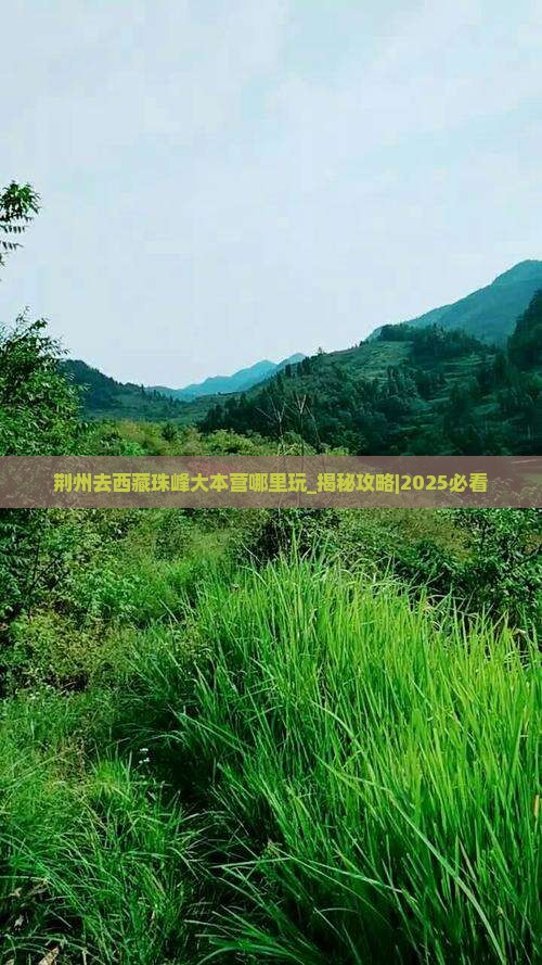 荆州去西藏珠峰大本营哪里玩