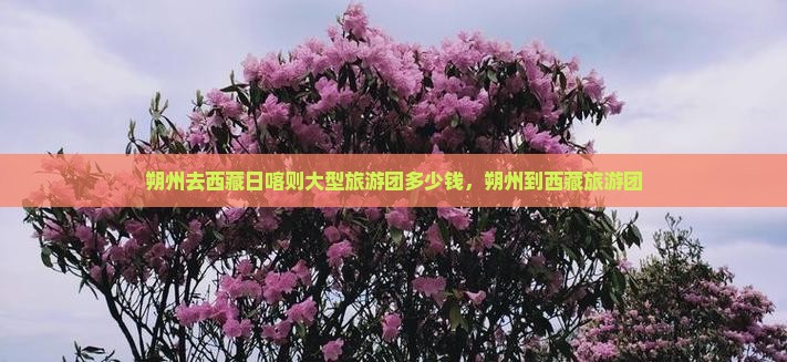朔州去西藏日喀则大型旅游团