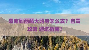 渭南到西藏大昭寺攻略