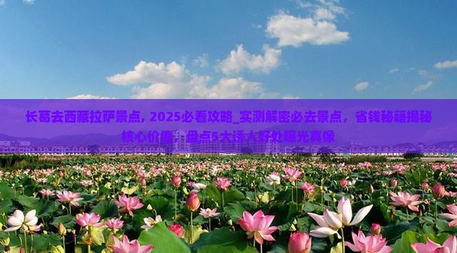 长葛去西藏拉萨景点
