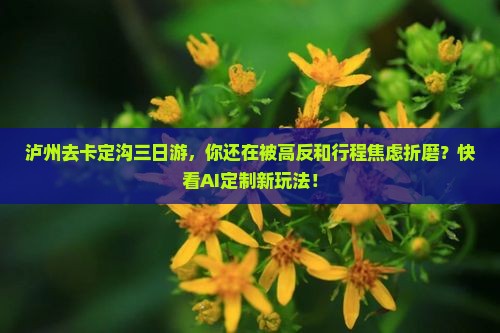 泸州去西藏卡定沟三日游