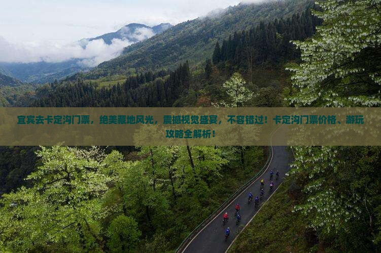 宜宾去西藏卡定沟门票