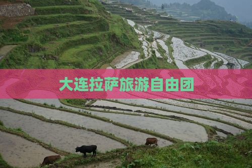 大连去西藏拉萨自由团