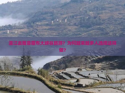 湛江去西藏雅鲁藏布大峡谷旅游