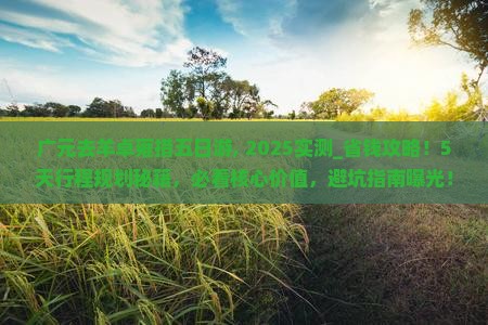 广元去西藏羊卓雍措五日游