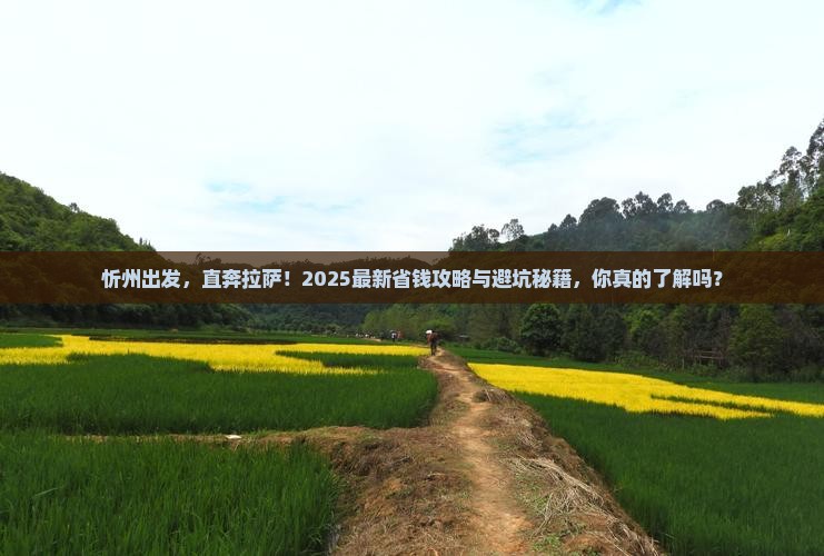 忻州去西藏拉萨门票