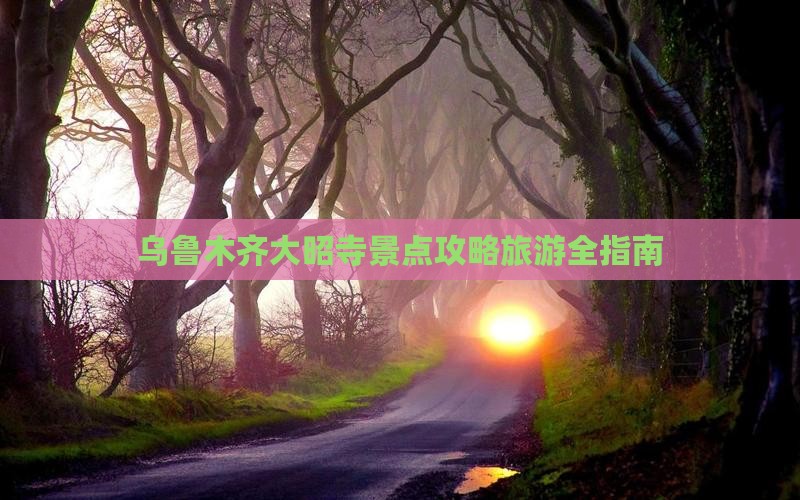 乌鲁木齐去西藏大昭寺攻略