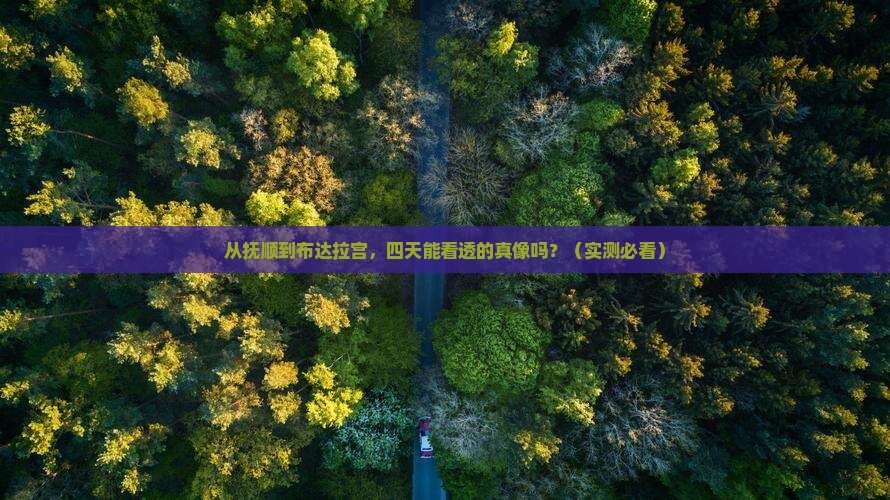 抚顺到西藏布达拉宫四日游