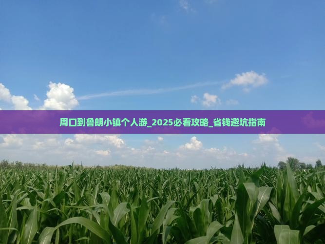 周口到西藏鲁朗小镇个人游
