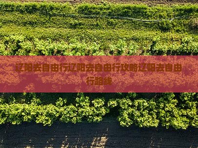 辽阳去西藏自由行