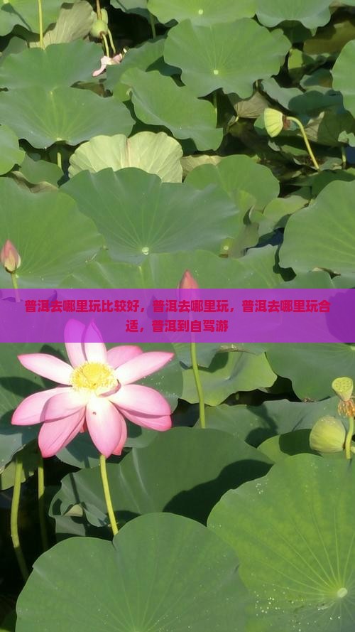 普洱去西藏哪里玩
