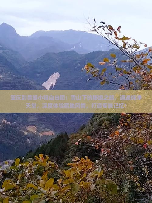 肇庆到西藏鲁朗小镇自由团