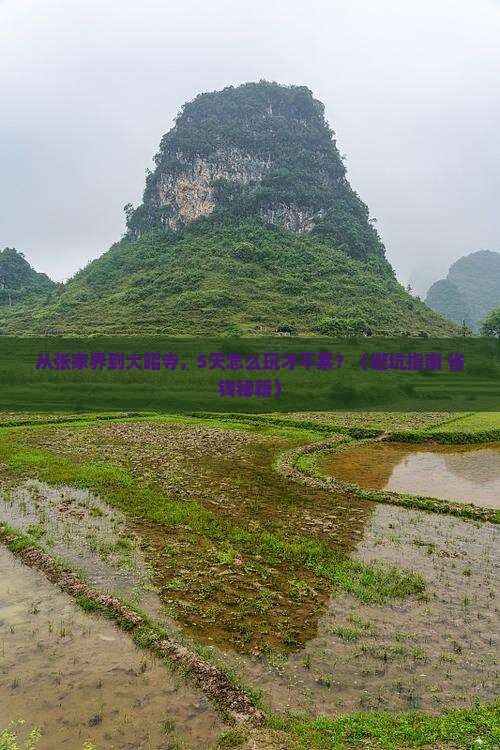 张家界去西藏大昭寺团体旅游