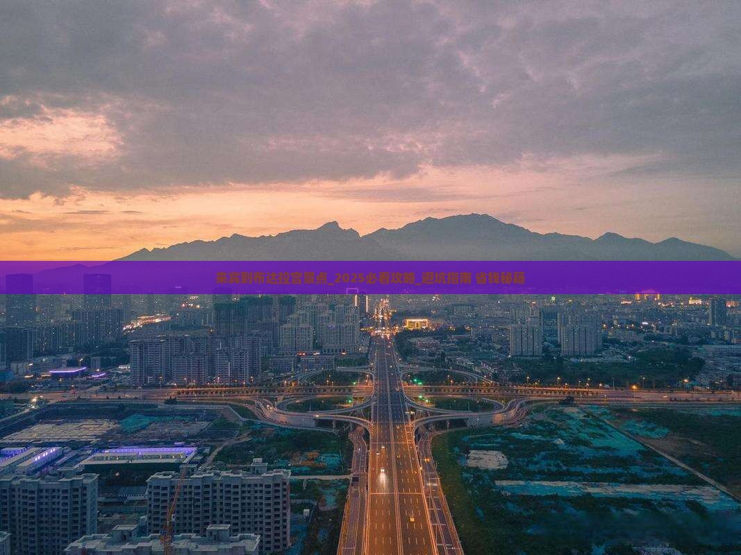 来宾到西藏布达拉宫景点