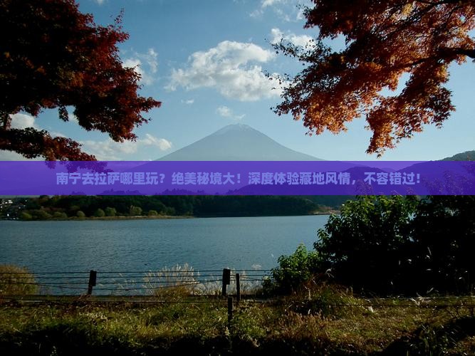 南宁去西藏拉萨哪里玩