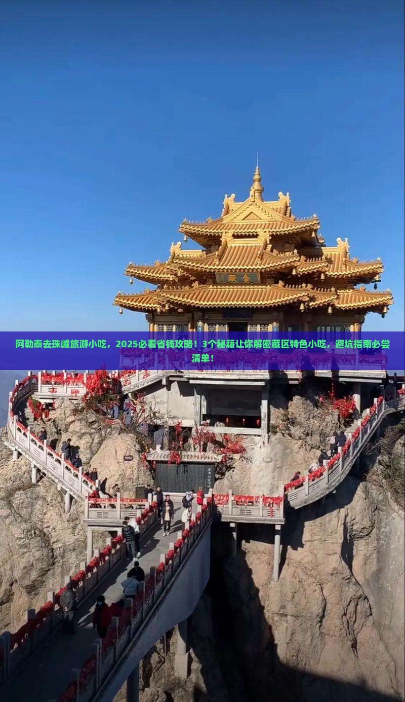 阿勒泰去西藏珠峰大本营旅游小吃