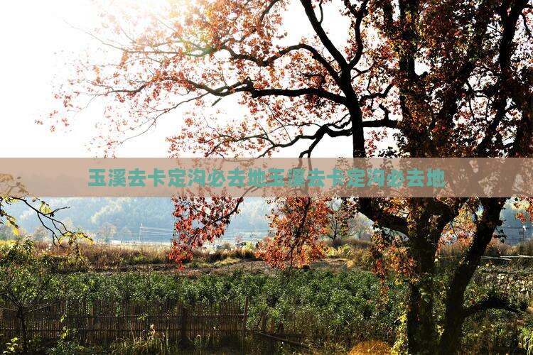 玉溪去西藏卡定沟必去地