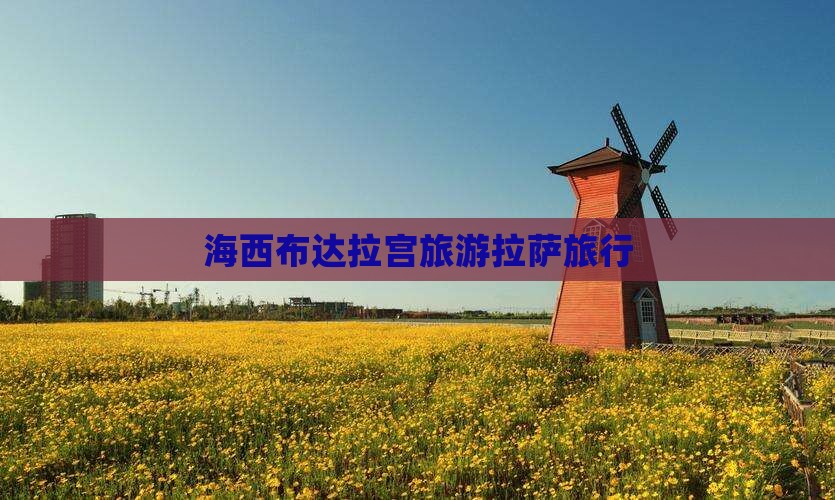 海西去西藏布达拉宫旅行社