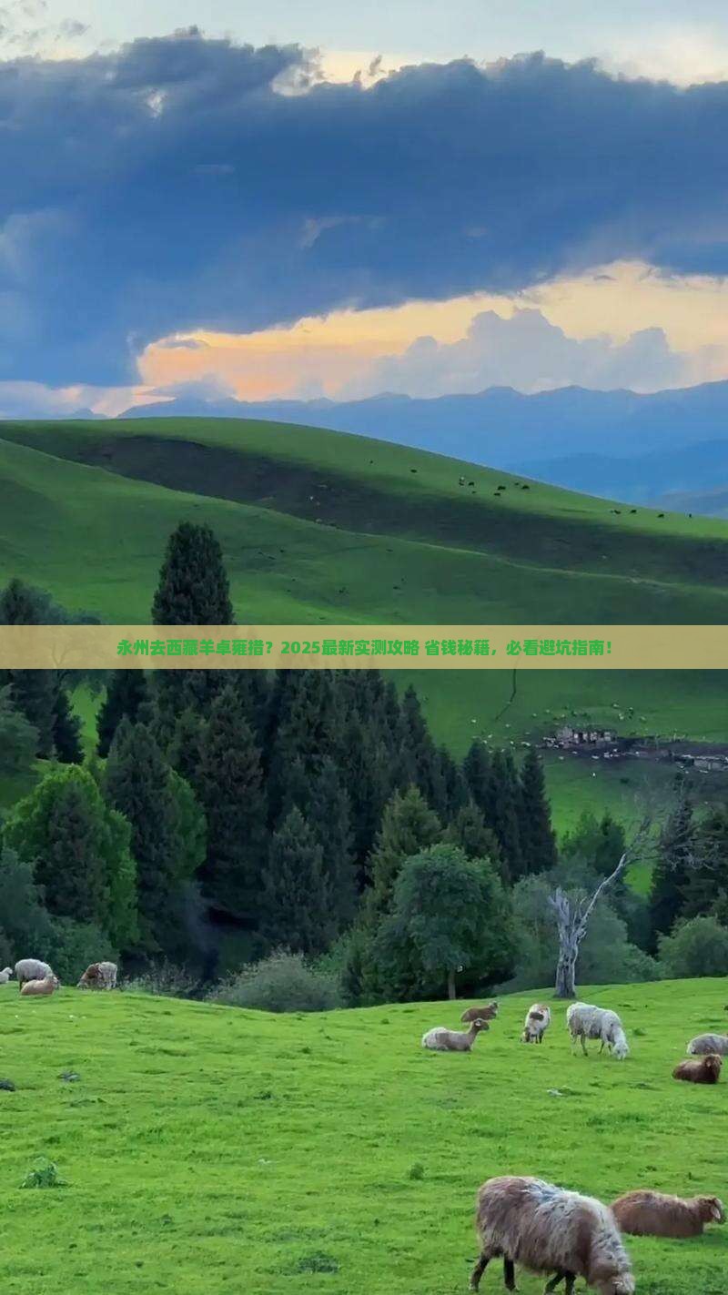 永州去西藏羊卓雍措旅行社